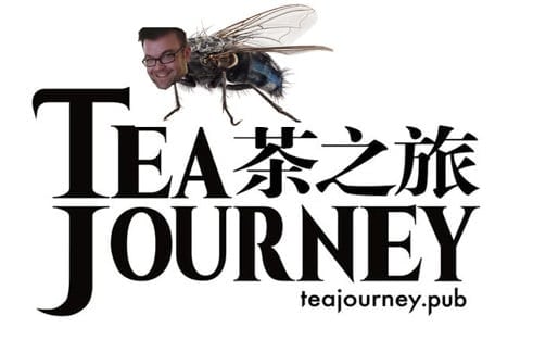 fly on tea journey's wall
