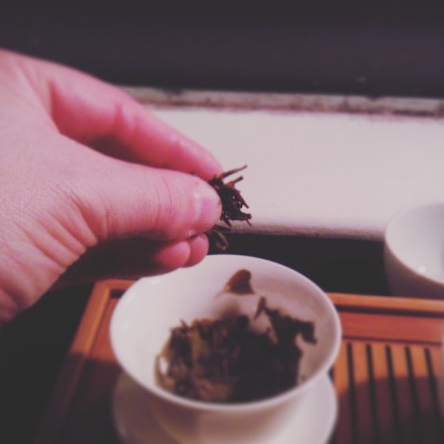 crab's feet in puerh