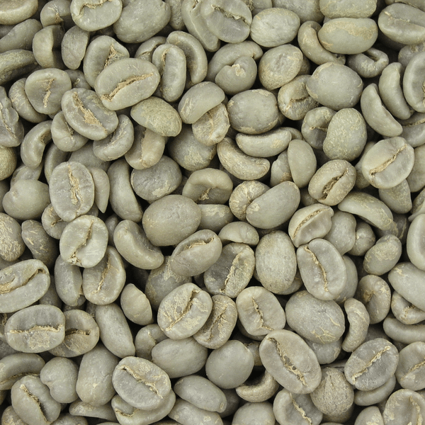 green coffee beans