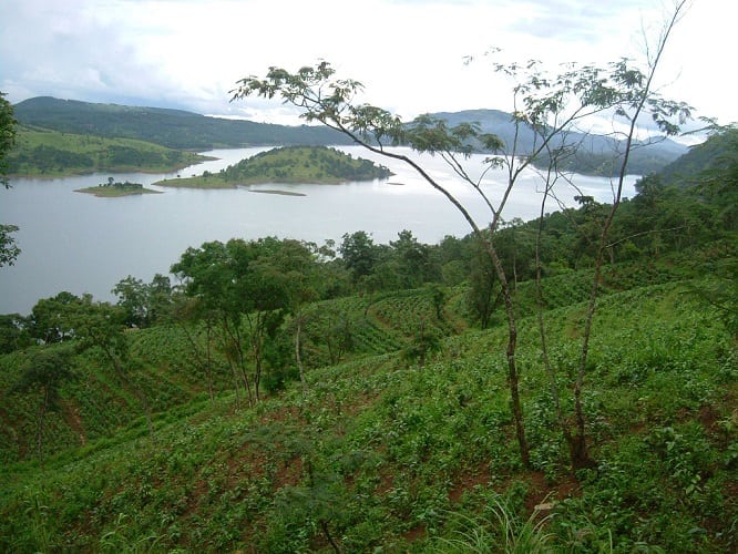 LaKyrsiew tea garden