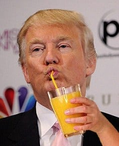 donald drinking