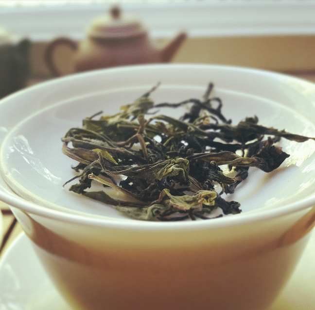 Highland Oolong