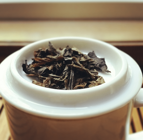 coffee-leaf-tea-may-2016